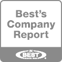BEST Company Report